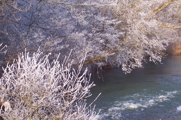 Bild 037.jpg - "Stromschnellen" an der Kähl im winterlichen Taubergießen